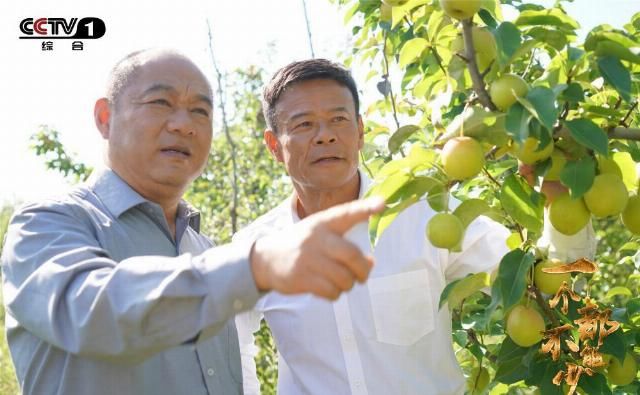  「张艺谋」与 21 年以前张艺谋电影重名，在这件事情上，的确“一个都不能少”
