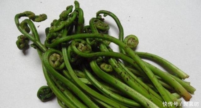 在大山深处，生长着1种植物，人称“山蕨菜”，见到了，是幸运