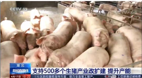  『改造』湖北开展养殖业复工复产改造，空气源热泵成为取暖首选