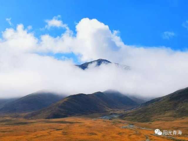 有此秋景，何必远方！