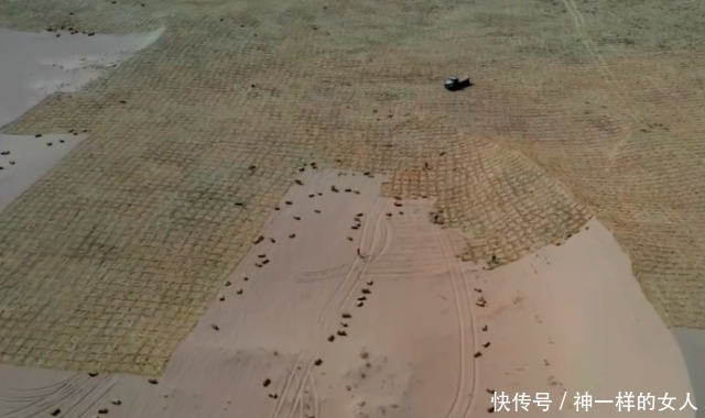 马云的“蚂蚁森林”已三年 竟将“死亡之海”变绿洲 网友：厉害了