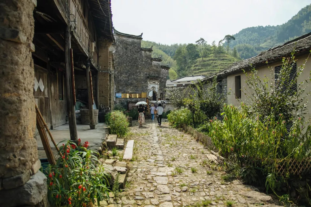 表情包亮了!都市快报文创小分队走进磐安,设计师有大发现……