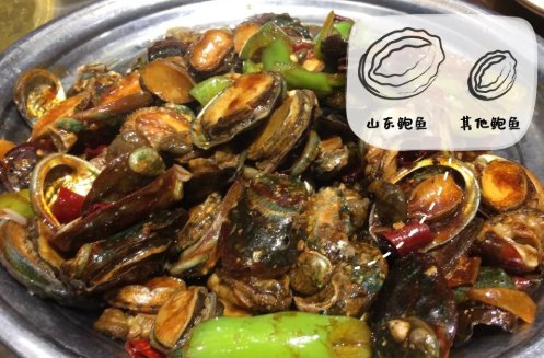  山东的蔬：浩克山东丨山东“巨型食物”之谜