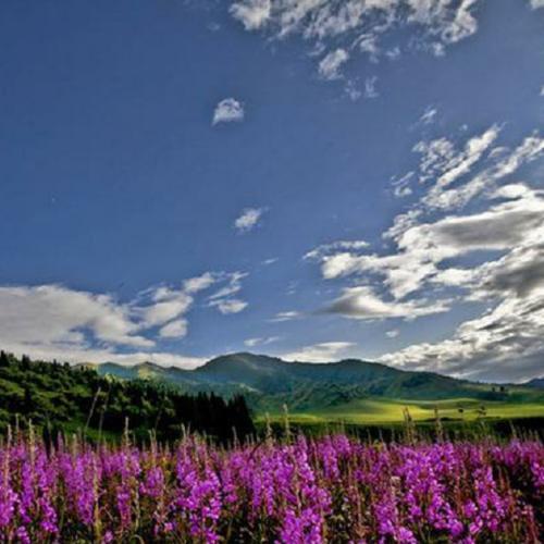 新疆有一个地方，回归时间比香港晚，被称为“中国最后一片净土”