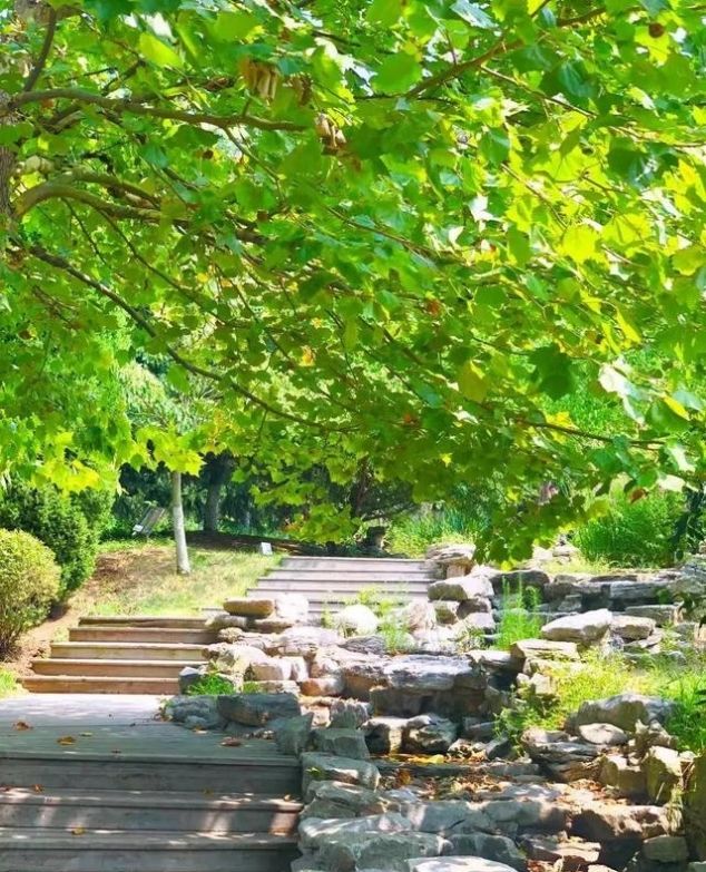 就在青岛！地铁直达、免费开放、紧邻八大关、隐蔽的小树林...这