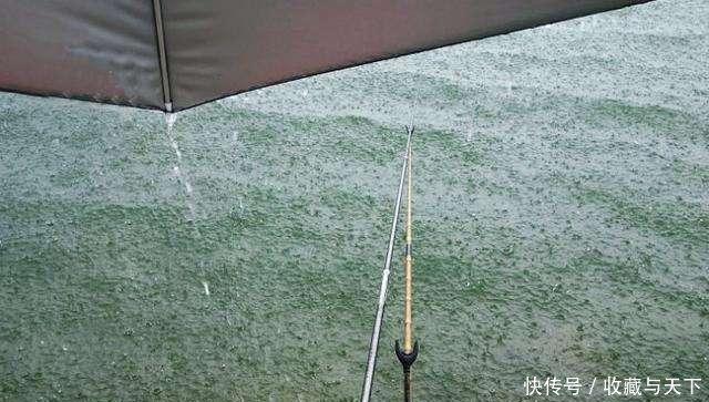  春季大雨@都说春雨过后好钓鱼错！春季的大雨、暴雨过后，出钓也光头