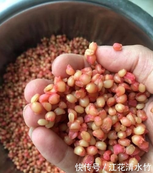 「水里」这几种饵料味道很难闻,却是鲤鱼草鱼的最爱,一般下竿就黑漂