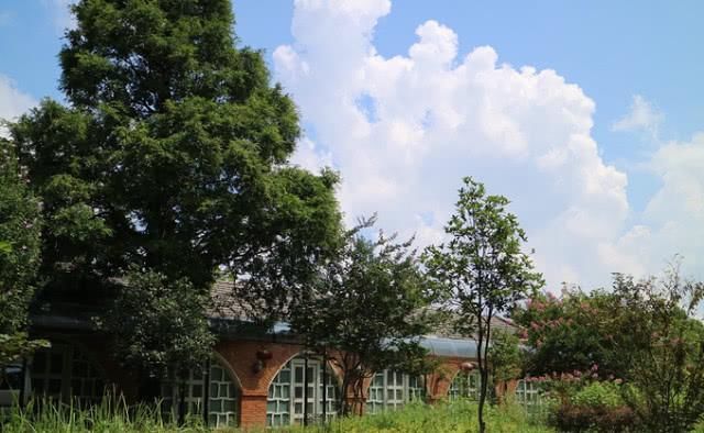  「信阳」河南气质最独特的城市，是中国十大宜居城市之一，你知