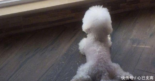 否认怀孕默认恋情颖宝首度回应，高情商撇清与冯绍峰的关系