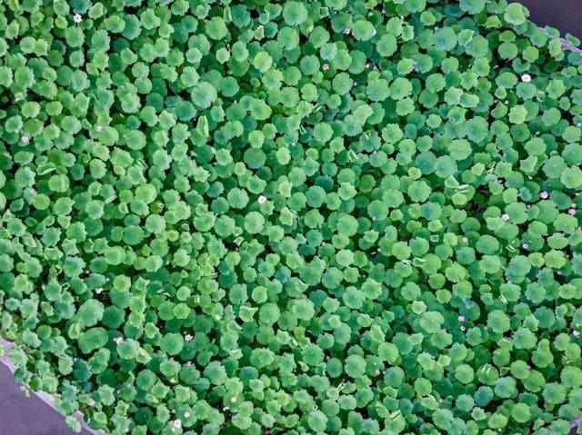 航拍“新时代”：走遍大江南北，还是这里最美