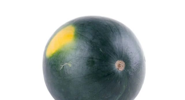 曾经风靡一时的“黑皮西瓜”，为何现在很少见了？原因让人意外