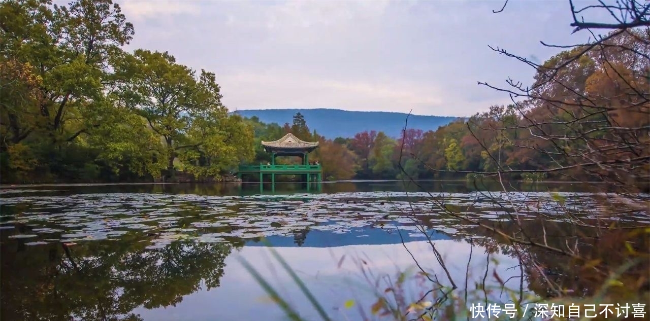  如今|第一个被撤销的直辖市，如今呼声越来越好，未来有望超过一