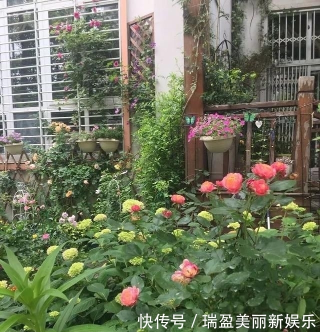「平方」有了30平方的小院,能将日子过成了诗?简单而精致,优雅而从容!