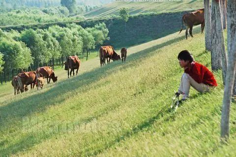  「洪泽湖」为什么近些年很少听说黄河发洪水了？