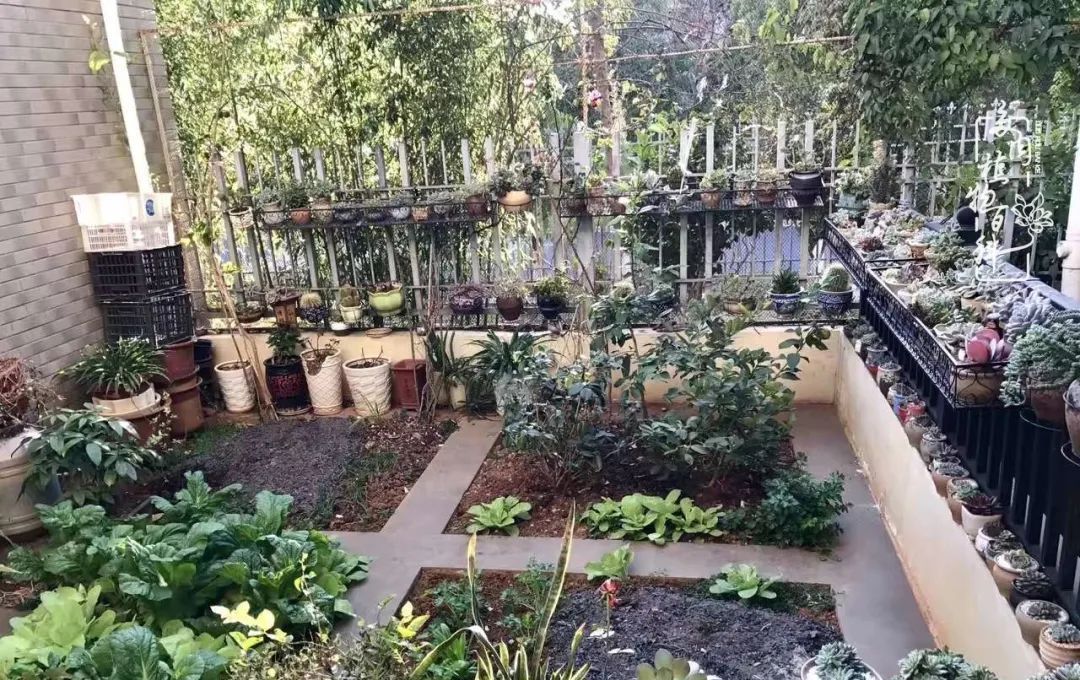  [庭院]一院一狗,三餐四季,慢下来的庭院生活才是好生活!
