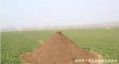 晚上睡觉梦到和去世的父亲种地，梦境背后的情感与象征意义
