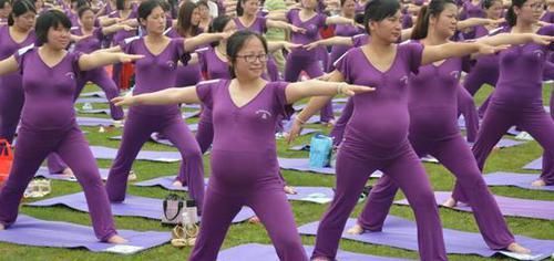  『绣球』带你家绣球去理发，不然今年又没有花赏！