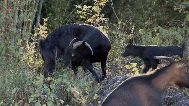 贷款500万，2年后，他在这片荒山上一年卖出1000万销售额