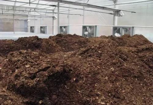  [腐叶土]盆栽花卉选择什么样的土才合适，养好花好会选土