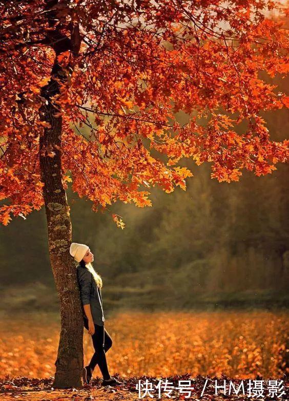 俄罗斯最美的秋天，如同一幅精美的画卷