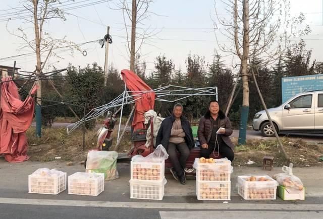  [不肯]4元一斤不肯卖，贱卖给果汁厂几毛一斤，一手好牌被果农打得稀烂