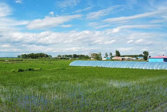 唐代近体诗对偶的美学功能是什么?