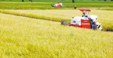 未来5年可能“暴富”的4种农村职业，看你敢不敢干，敢干就有机会