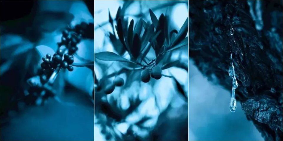 羡慕| 瘦身14斤达到颜值巅峰,林允的少女肌也太水灵了!