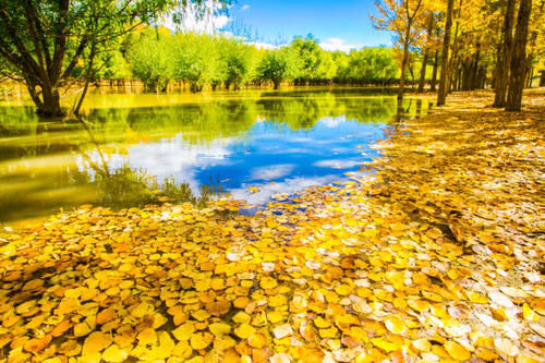 西藏小众旅行地，秋天美到翻