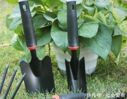 中国“电动锄头”一出，耕地不再愁，一天能锄几百亩，忒省力