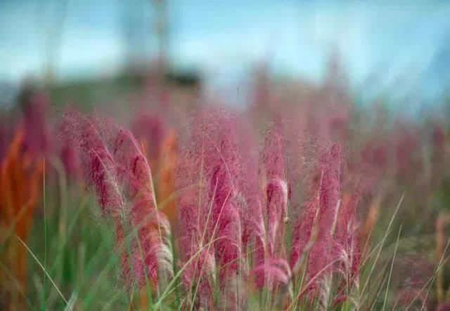 有些路，是一个人的旅行，这些地方适合一个人独享！