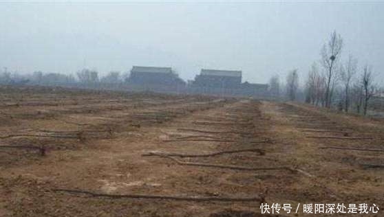  「留意」再过半个月，农村早已被叫停的3件事，又迎来高发期，农