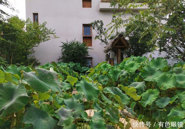 “十一”荐游‖神秘抚仙湖，民宿秀出希腊风