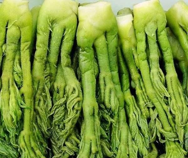  野生龙牙楤|有些人把龙牙楤木认为就是香椿苗，其实它们及其相似，但不一样
