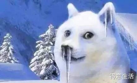  断崖@您的冷空气即将到货！降温 大风 降雨，气温断崖式跌至个位