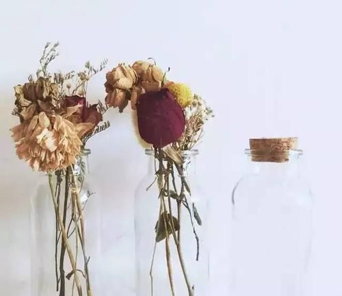  【最简单】干花制作教程：把七夕收到的鲜花美丽定格，做个干花漂流瓶