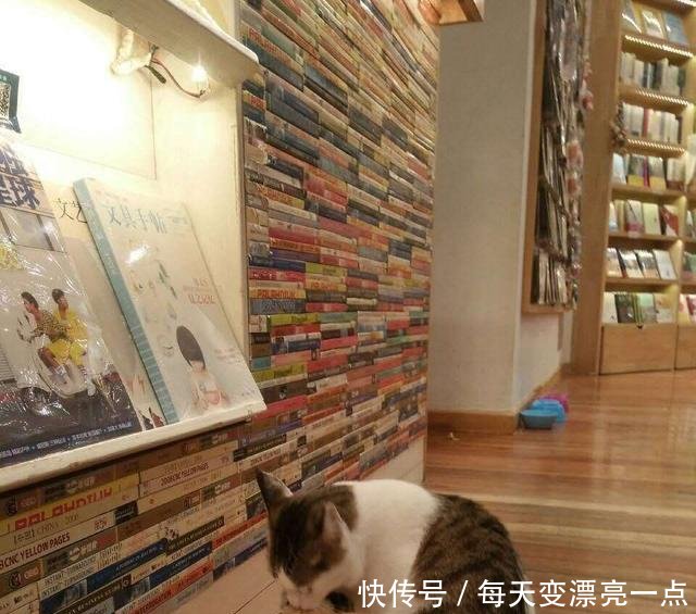 作为一个山东人，下雪不只有刷朋友圈，还要……