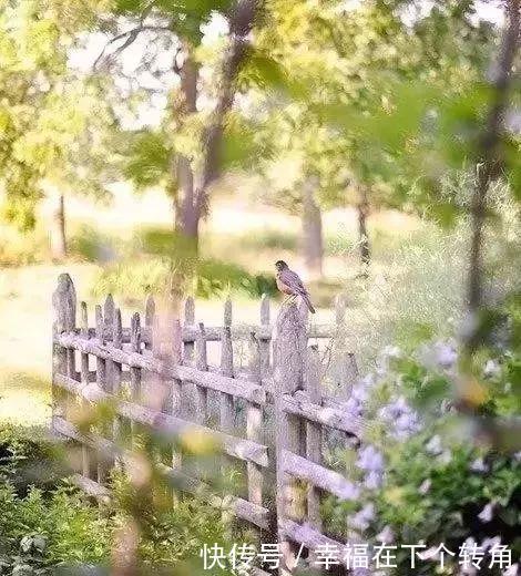  「快乐」篱笆小院住在乡村的快乐，你想体验吗！