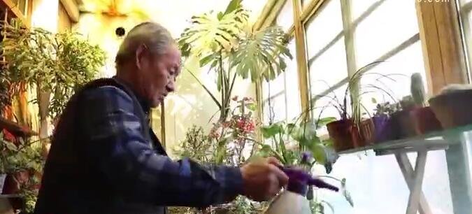  『庭院』花草相伴 山水雅舍！美丽庭院点“靓”幸福生活