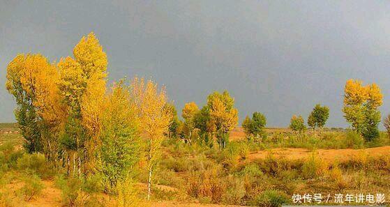 黄土高原变绿了:黄河以后也会慢慢变清吧!