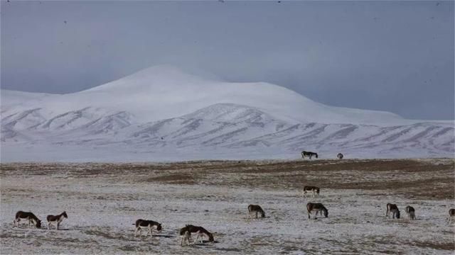 我国面积最大的乡：相当于33个深圳，开车出乡要10个小时！