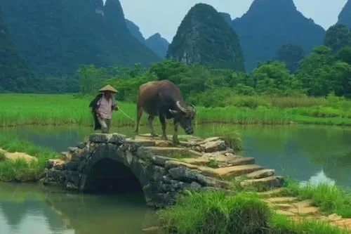 这里风景美如画“硬核”吟诗赠天下:谁家玉女桥上过,好似漫步水中仙【2020热门旅游景点】