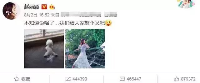 已怀孕即将嫁给超级富二代? 赵丽颖早就回应过, 一动作揭示真相