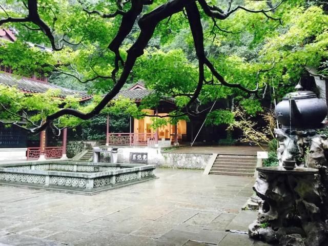  『翠色』翠色参天叶七出，这样的虎跑清新又灵动~