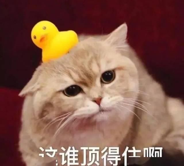  白眼■李佳琦白眼：4000块的爱马仕口红，就这？？？