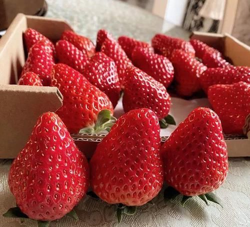  「增加光照」这水果太贵了，吃完留下核，还能种盆栽！