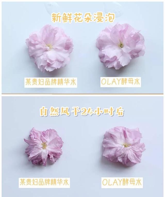  『熬夜』get仙女抗氧化CP，熬夜也能拥有奶油肌！