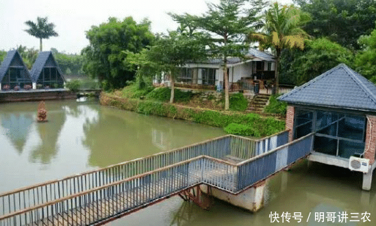  有钱人|农村在未来几年，这3类人可能会成为“有钱人”，其中有