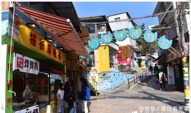 「鸽子」顶澳仔猫街撸猫、白鹭洲喂鸽子,厦门文艺之旅,去过才算没白来!