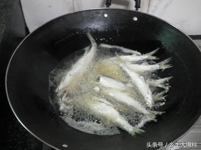 农村池塘小白条真不少,捕获一渔网,油炸之后